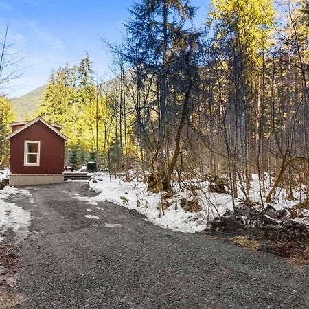 Cozy Tiny Home Steps Away From Mt. Rainier Ashford Εξωτερικό φωτογραφία