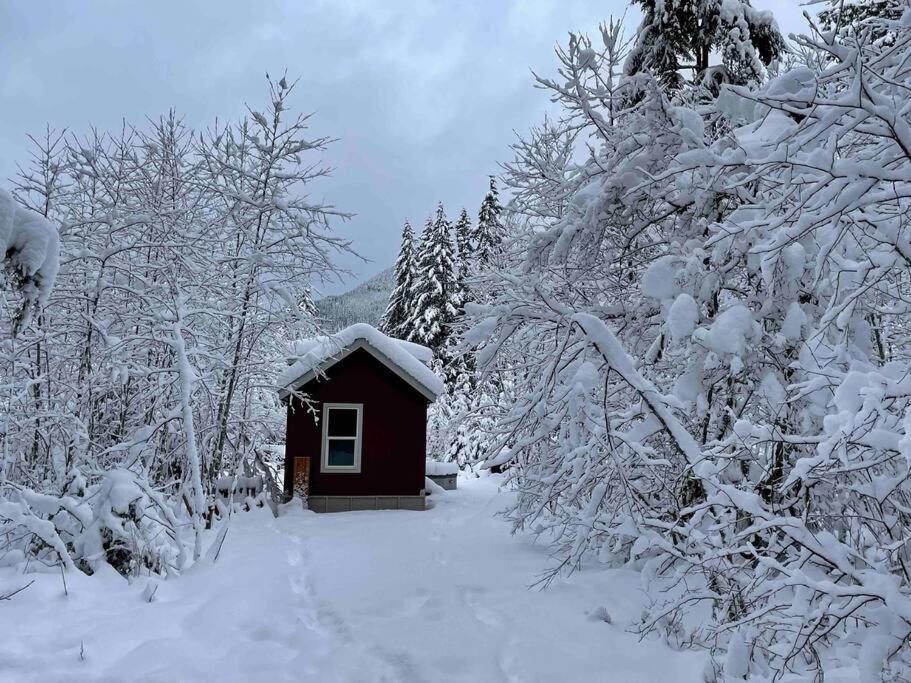 Cozy Tiny Home Steps Away From Mt. Rainier Ashford Εξωτερικό φωτογραφία