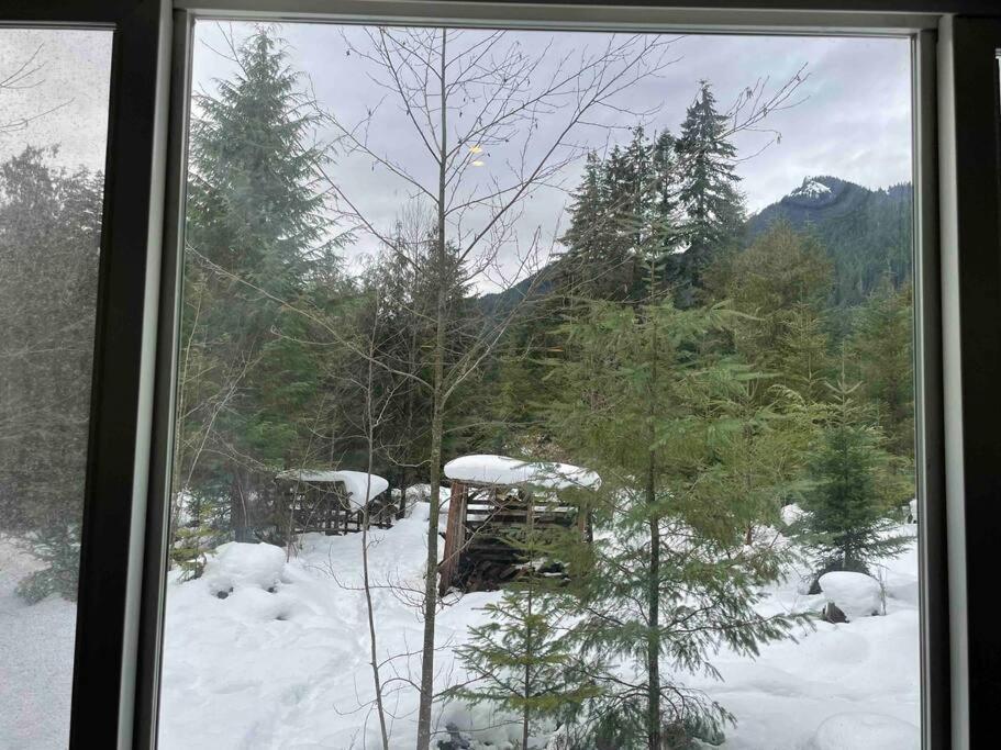 Cozy Tiny Home Steps Away From Mt. Rainier Ashford Εξωτερικό φωτογραφία